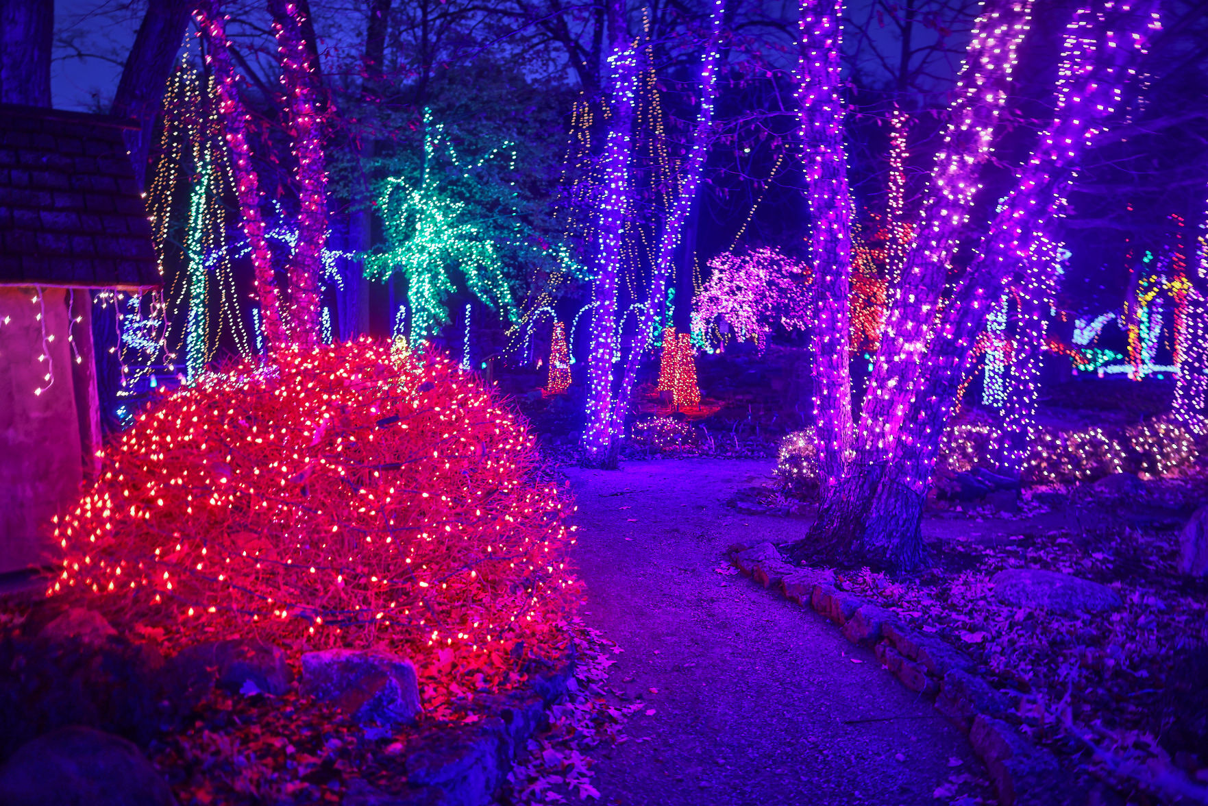 JVG_211121_LIGHTS14